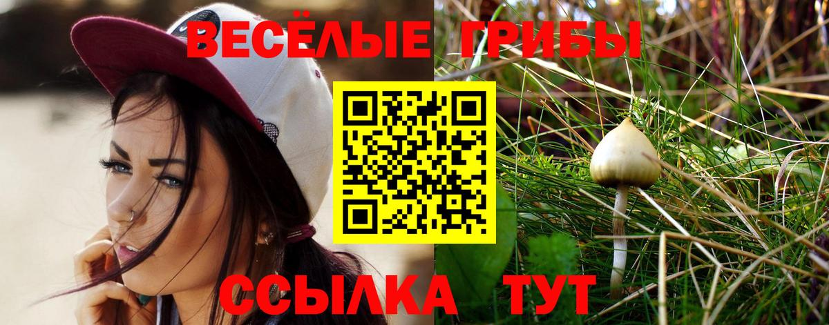 Псилоцибиновые грибы GOLDEN TEACHER Камышин