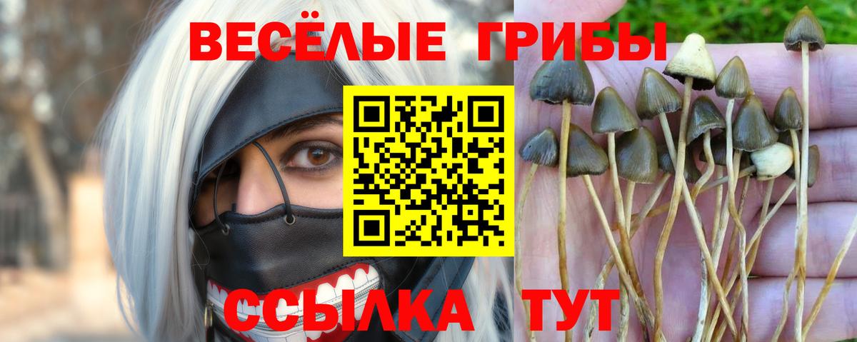 Галлюциногенные грибы ЛСД  Вход с VPN  Камышин 